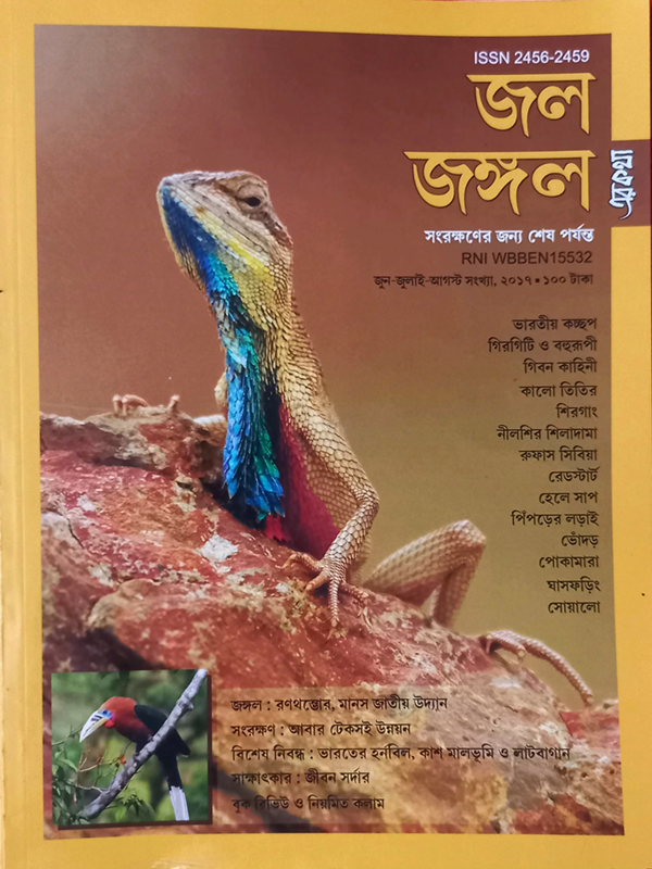 6th Issue