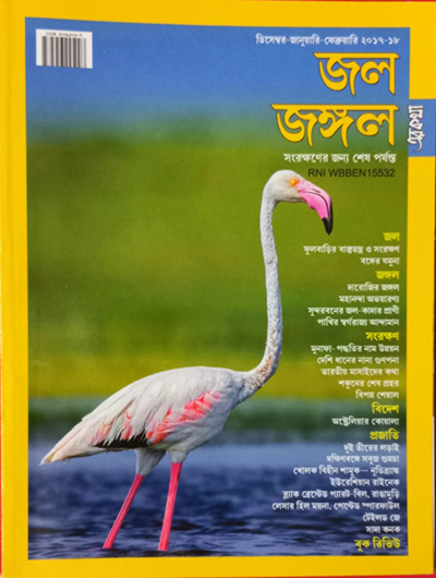 7th Issue